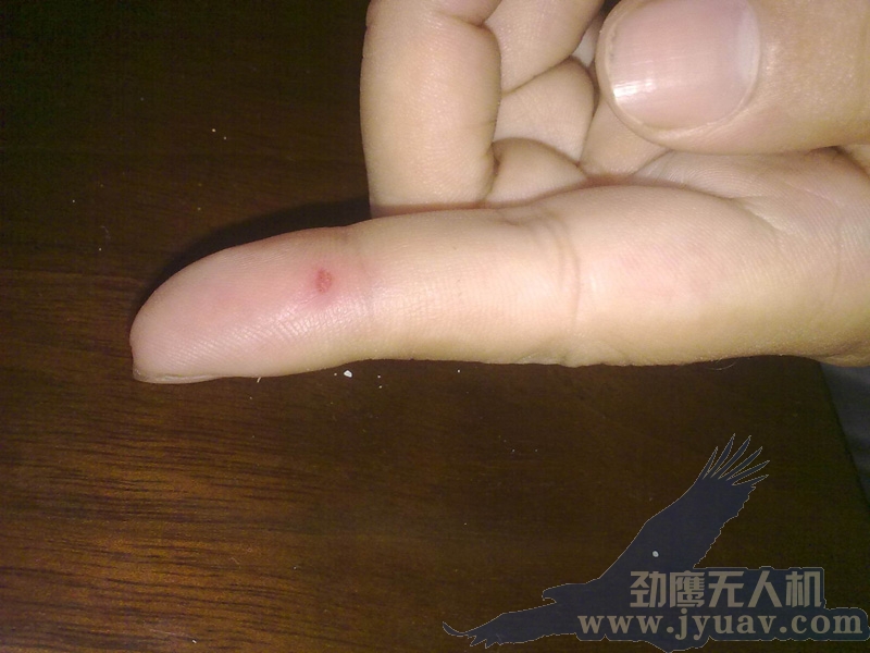 &#23436;&#32654;&#20307;&#32946;